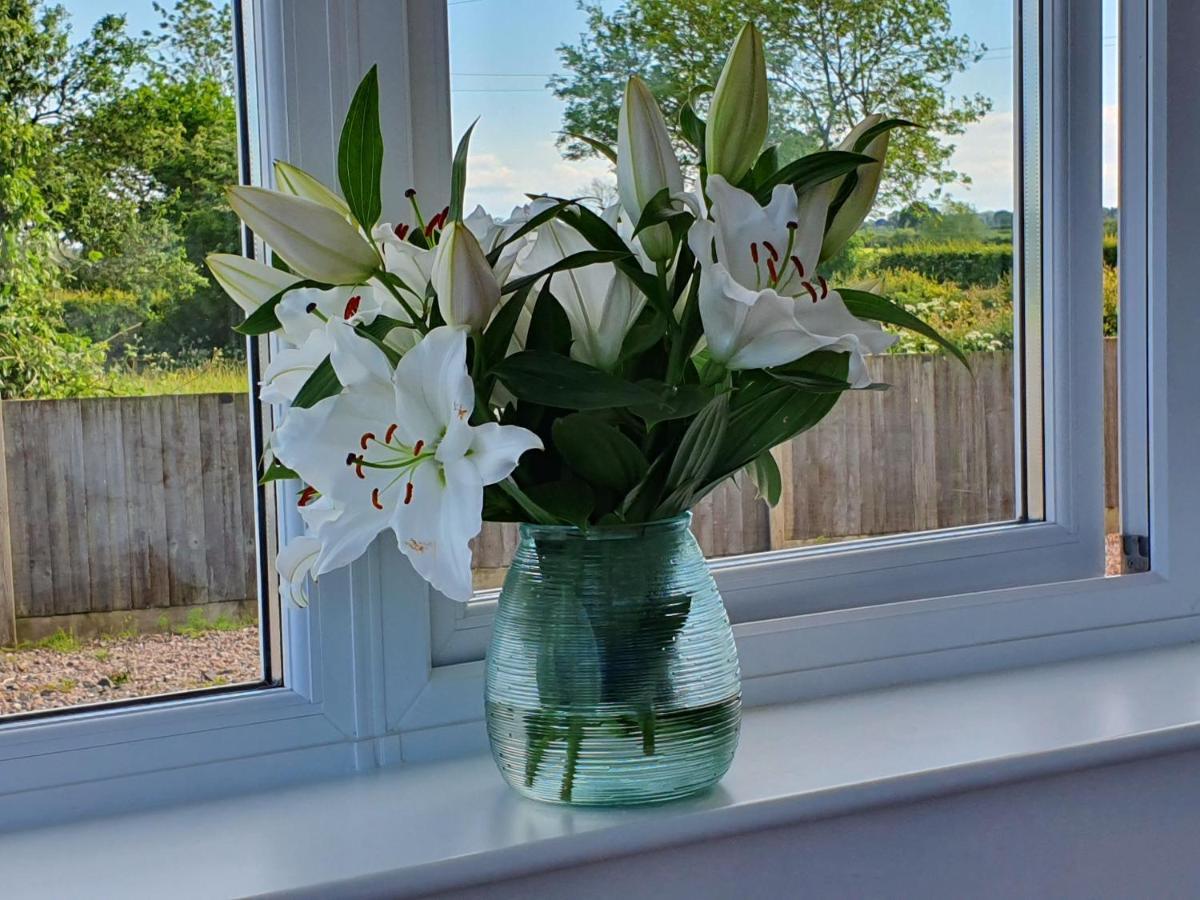 Foxes Field B&B Aston Nantwich Wrenbury Extérieur photo